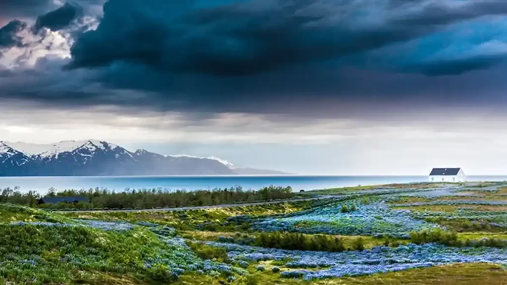 Attractions in Reykjavik Iceland, Iceland storm weather