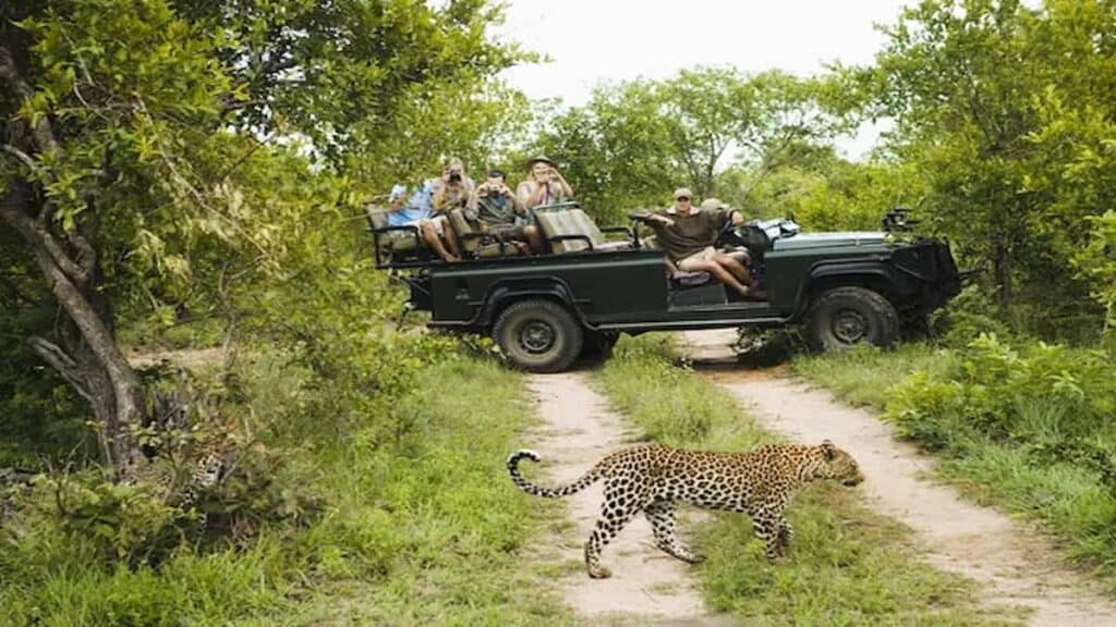 Tourist sites in South Africa, Kruger guided Safari