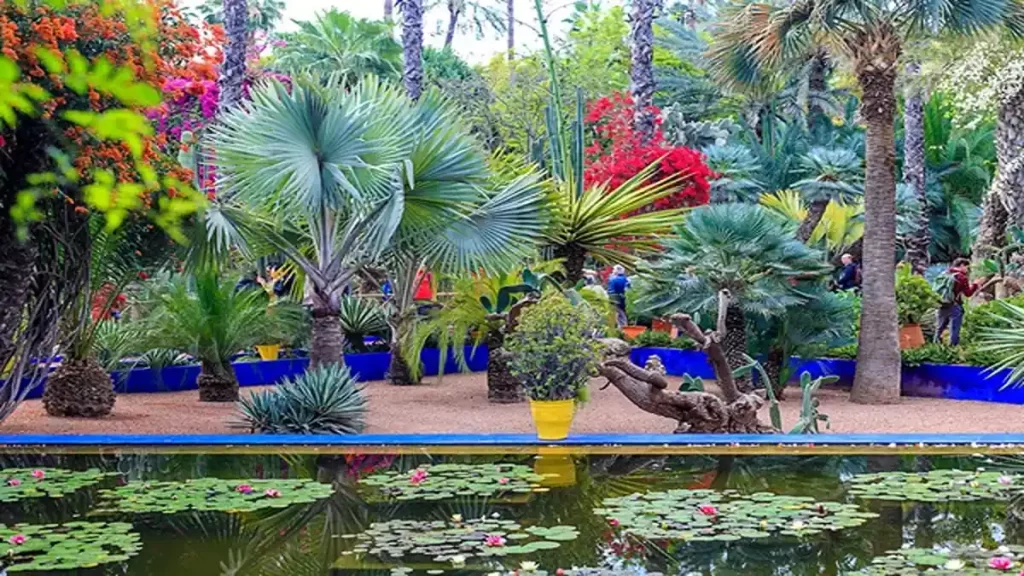 Marrakech city Morocco, Majorelle Garden plants