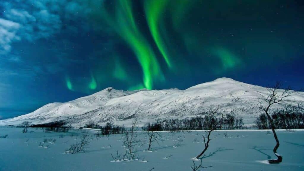 Norwegian aurora borealis, Tromso sight