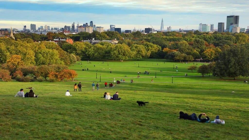 Things to do in Camden Town, Primrose hill