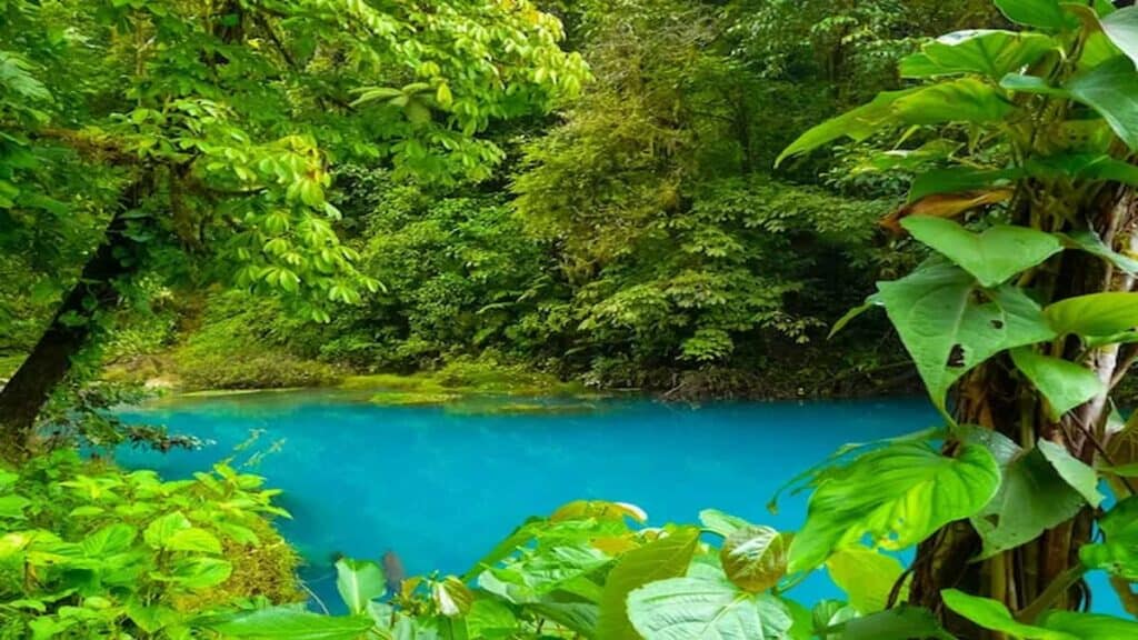 Rio Celeste river, Tenorio Volcano river