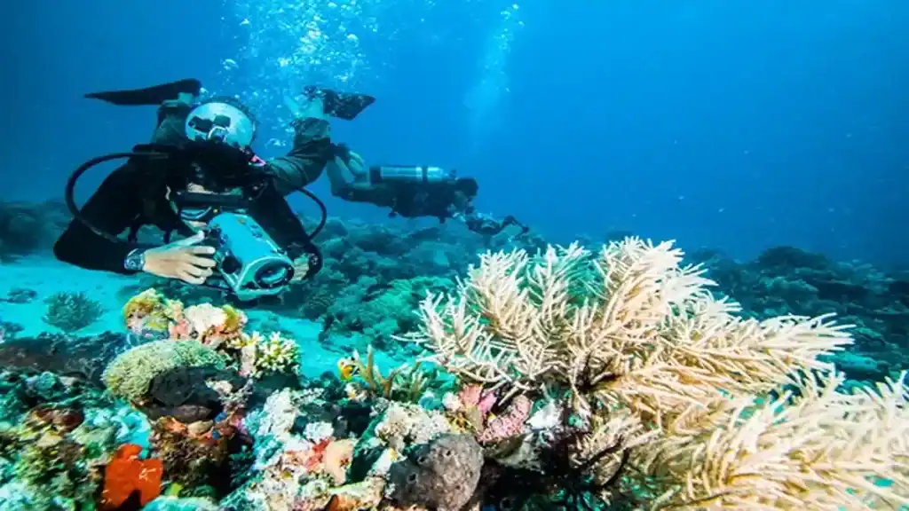 Tofo beach in Mozambique, diving Tofo