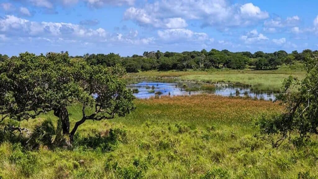 Tourist sites in South Africa, iSimangaliso Wetland Park