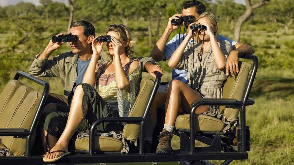Kruger National Park safari lodges, itineraries