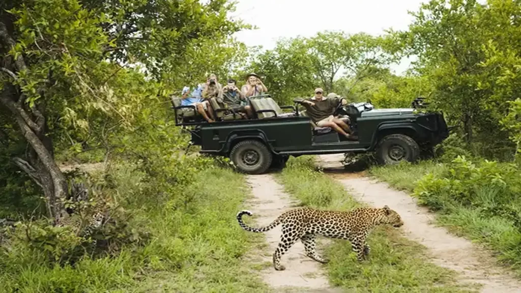 Kruger National Park safari lodges, transport