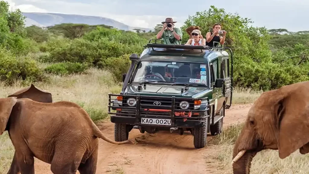Tourist sites in South Africa, safari photography equipment