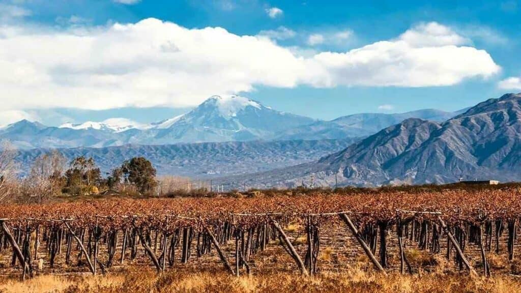 Things to see in Argentina, Mendoza vineyard Andes mountains