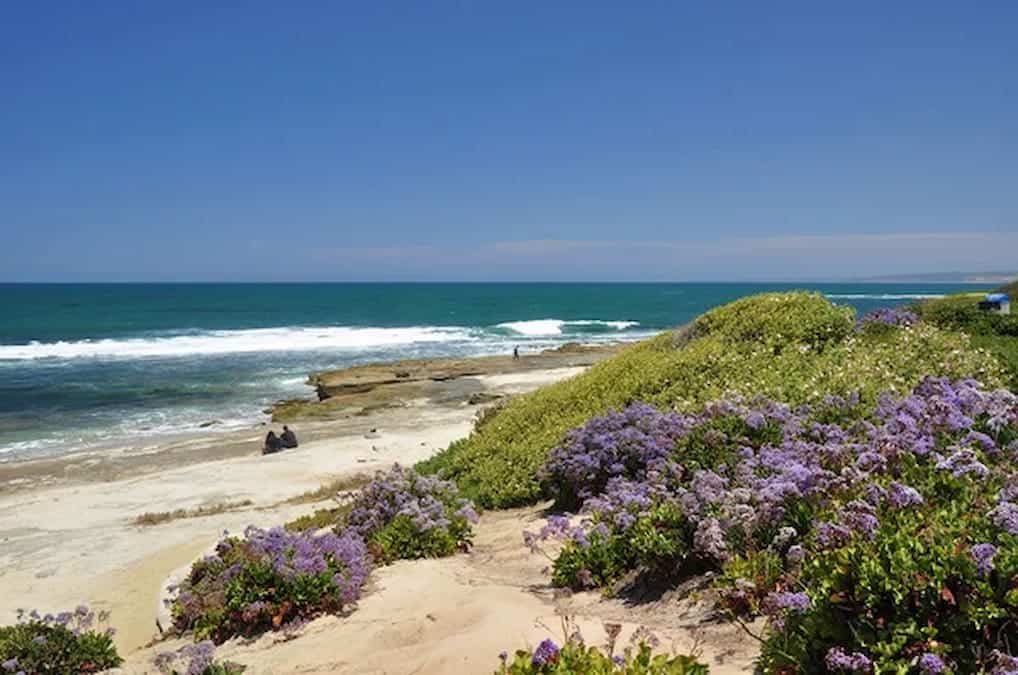 Good places to visit in July, La Jolla, San Diego.
