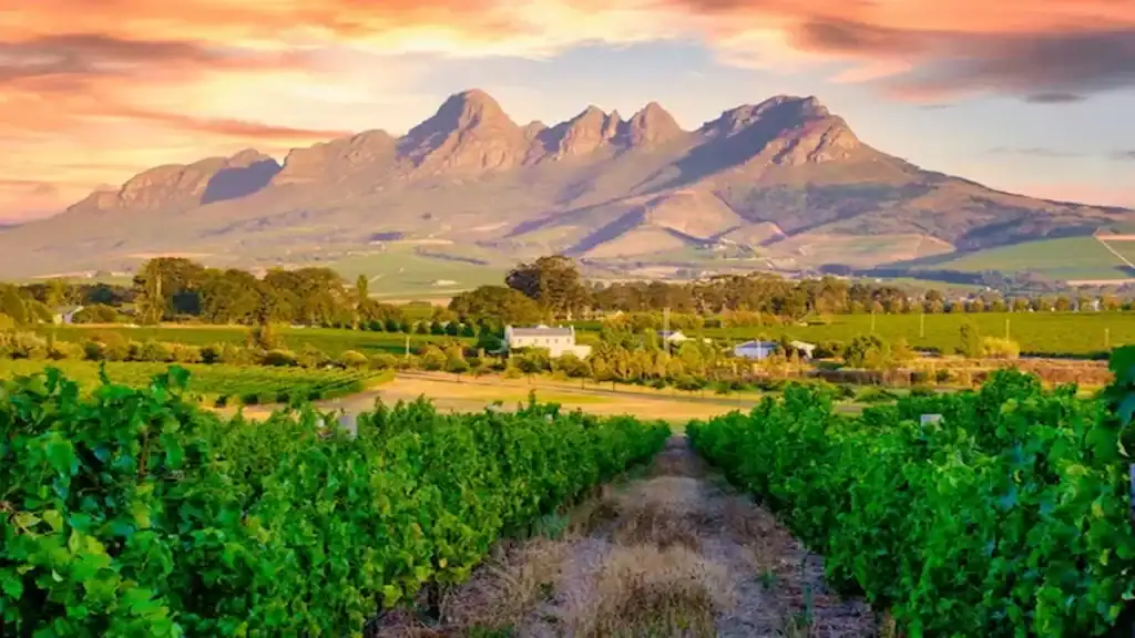 What to do in Cape Town, Stellenbosch