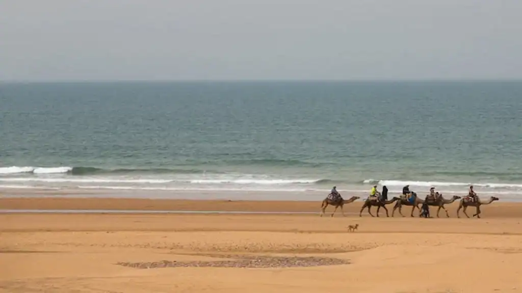 Things to do in Essaouira, beach