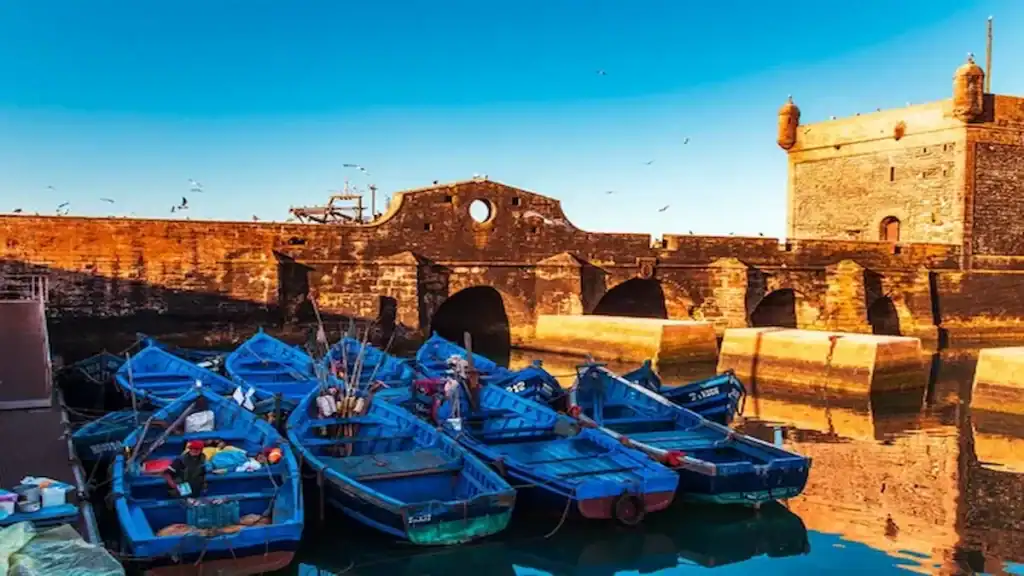 Things to do in Essaouira, blue boats port essaouira