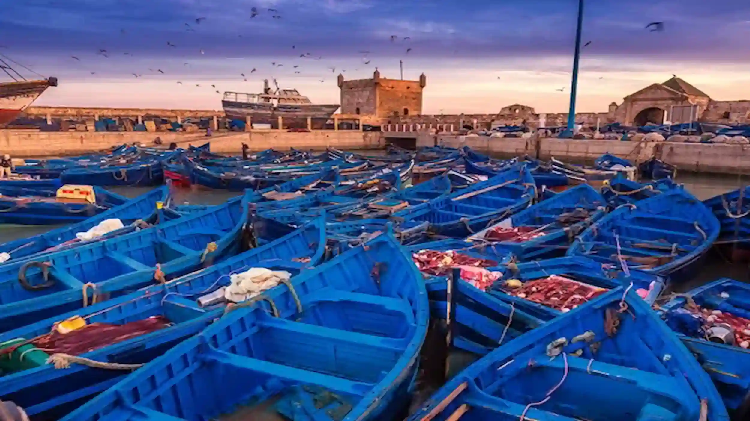 Things to do in Essaouira, harbour