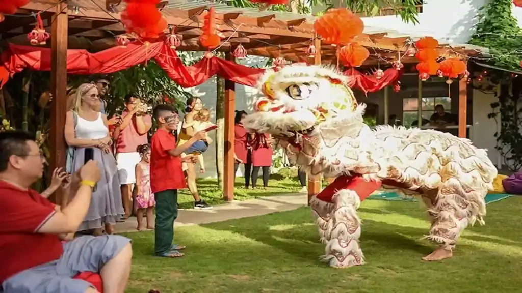 Parklife Bali, dragon play