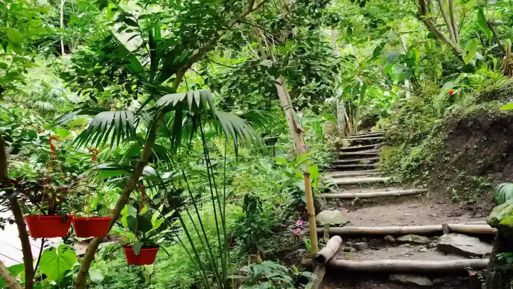 Minca Colombia, waterfall