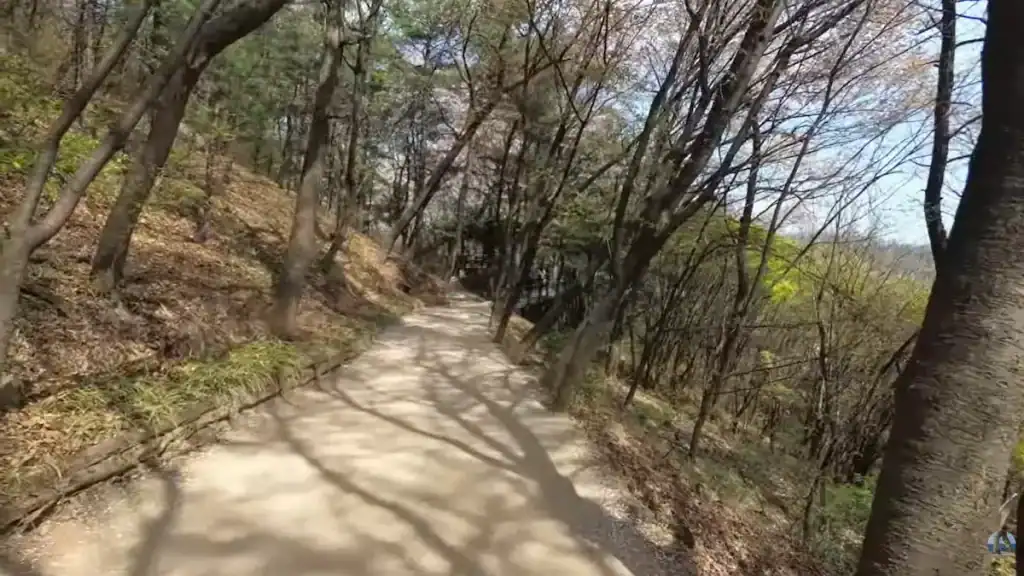 Shaded hiking trail winding through wooded area at Ansan parks with bare trees and dappled sunlight on path