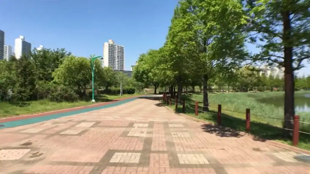 Paved walking and cycling path at Ansan Lake Park with green bike lane, trees, lake view, and apartment buildings