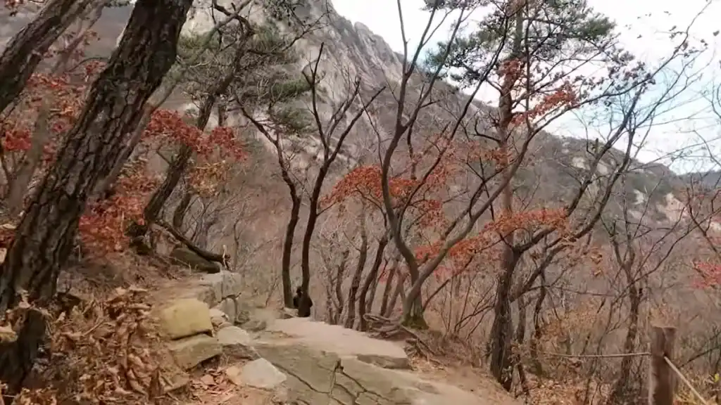 Rocky mountain trail at Bukhansan with bare trees, autumn foliage, granite cliffs, and stone pathway