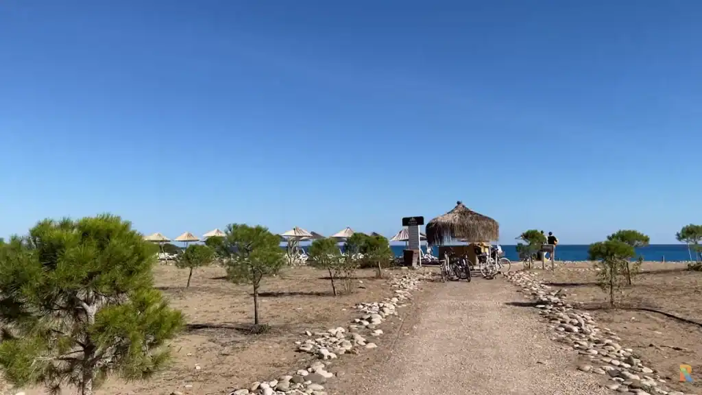Olympos vs Çıralı. Beach access showing natural pathway lined with pine trees, thatched umbrellas, and blue Mediterranean Sea