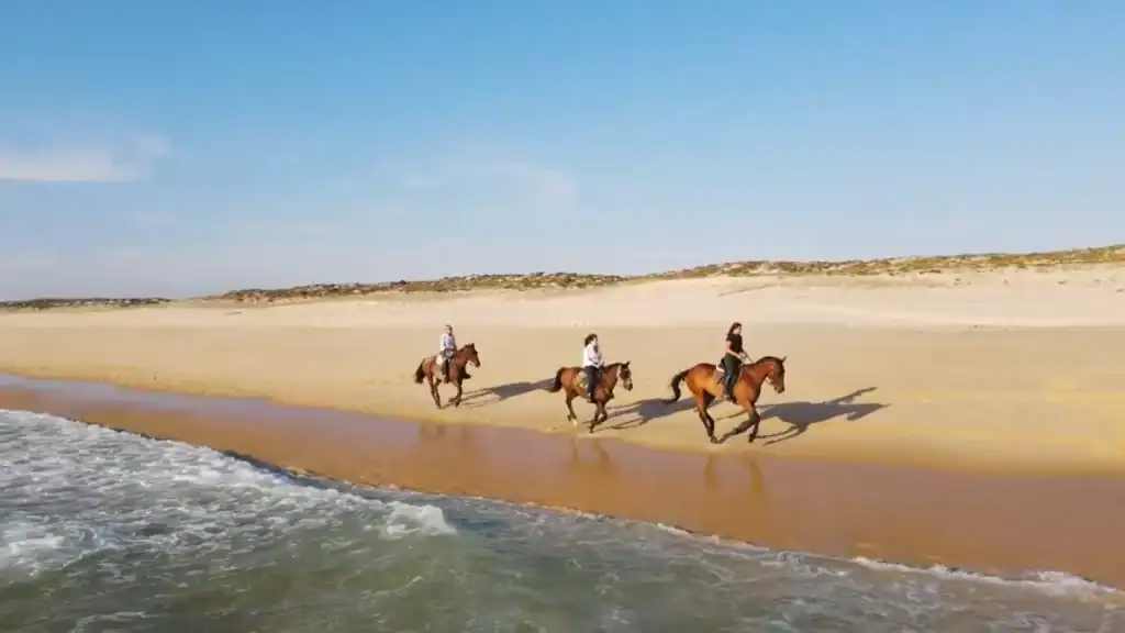 Beach horse riding along golden sand shoreline with Atlantic Ocean waves
