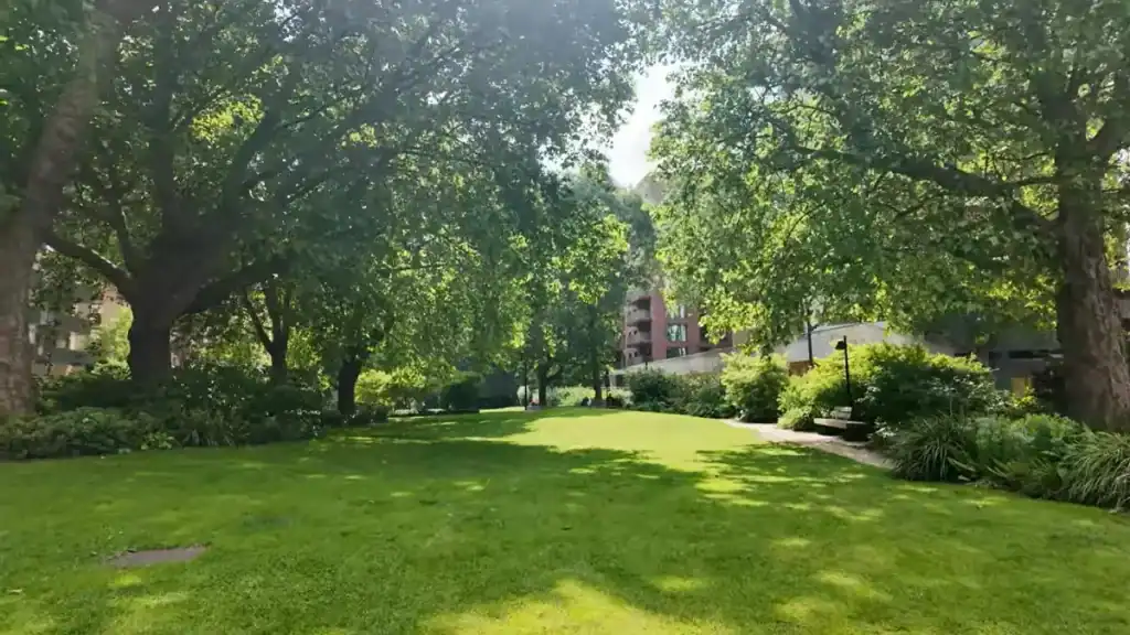 Green space with open lawn area surrounded by mature trees and pathways