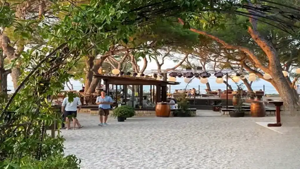 Alt Tag:
Vis Island remote work at Fort George Bar with sea views and outdoor seating