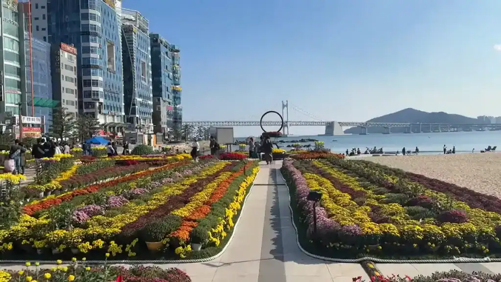 Andong cultural experience Gwangalli Beach in Busan with colorful flower gardens Gwangan Bridge and modern buildings along sandy coastline