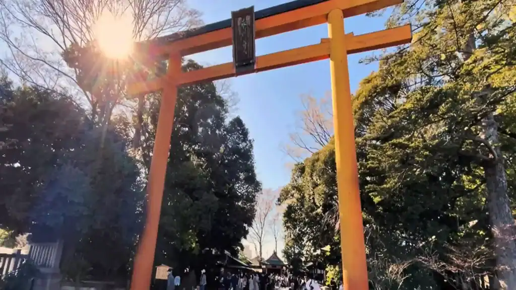 Large orange torii gate at Hikawa Shrine with sunlight streaming through trees in Kawagoe, Japan