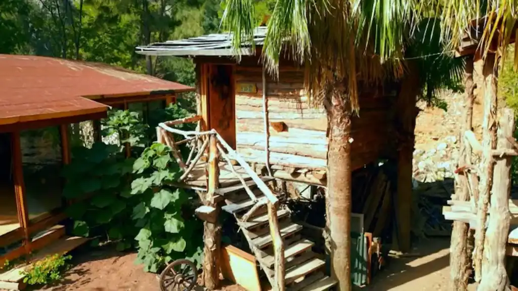 Olympos Treehouse Accommodation elevated cabin with wooden stairs and palm tree surroundings