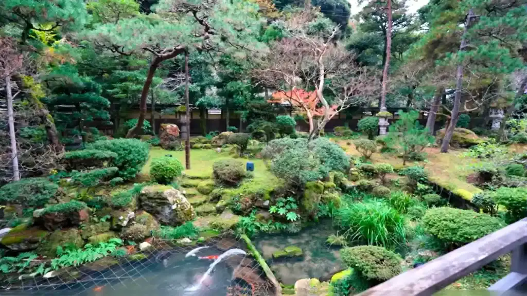Kinosaki Budget Ryokans - Mikiya Inn's traditional Japanese garden with koi pond and pine trees