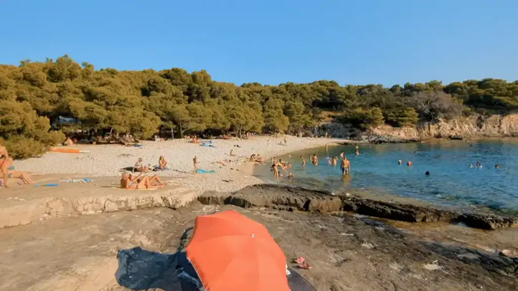 Srebrna beach with pebble shore, swimmers, and pine tree shade