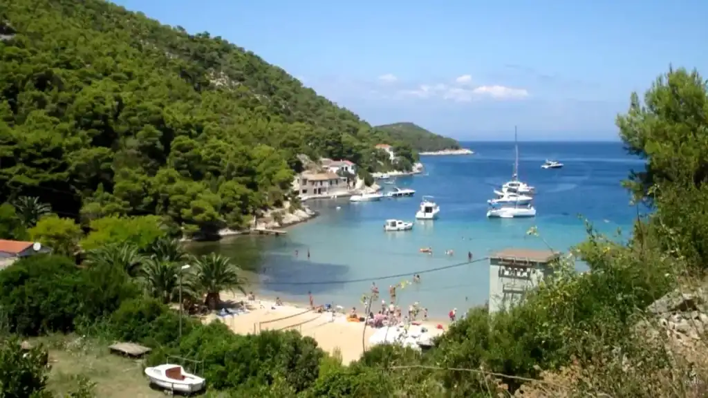 Vis Island without a car reachable Stončica beach with sandy shore, calm bay, and forested hillsides