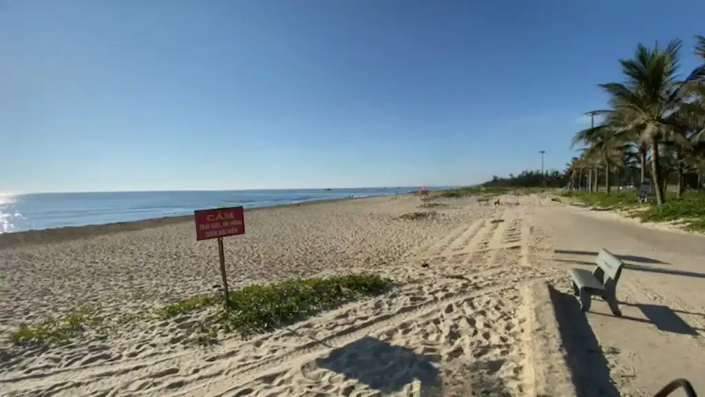 Tranquil Tam Thanh Beach with golden sand and palm trees, showing is Hoi An worth it for beach lovers.