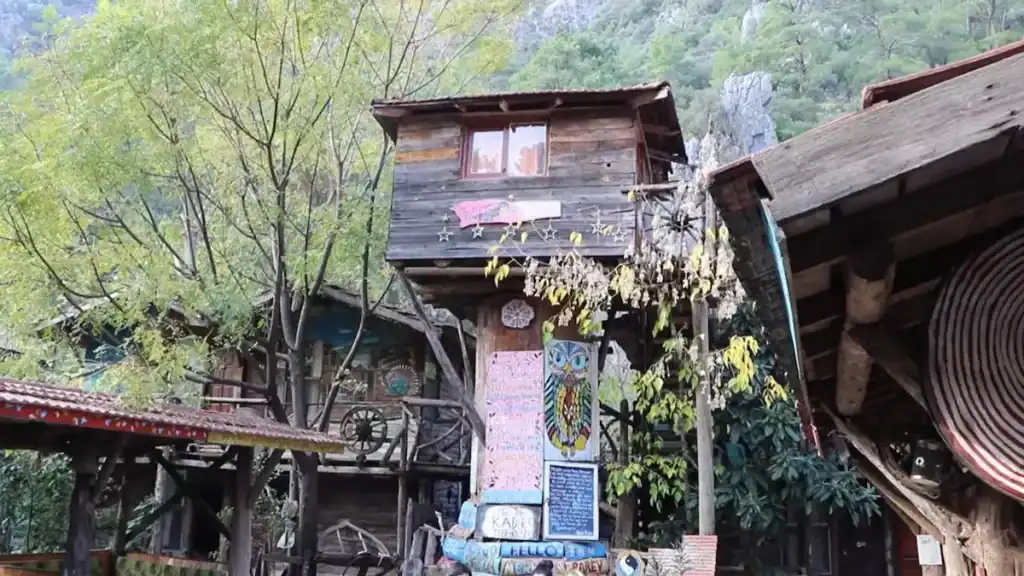 Olympos vs Çıralı treehouse accommodation at Kadir's showing rustic wooden structure surrounded by lush green forest