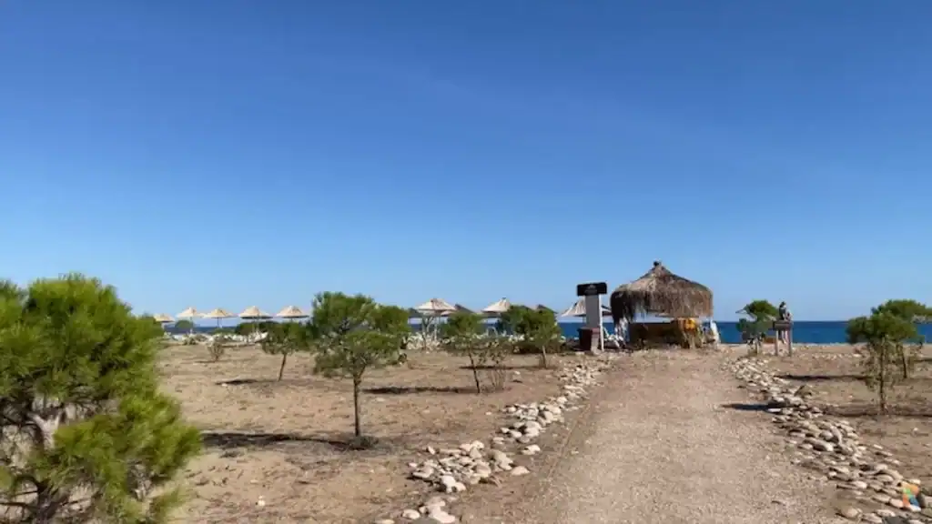 Çıralı beach pathway