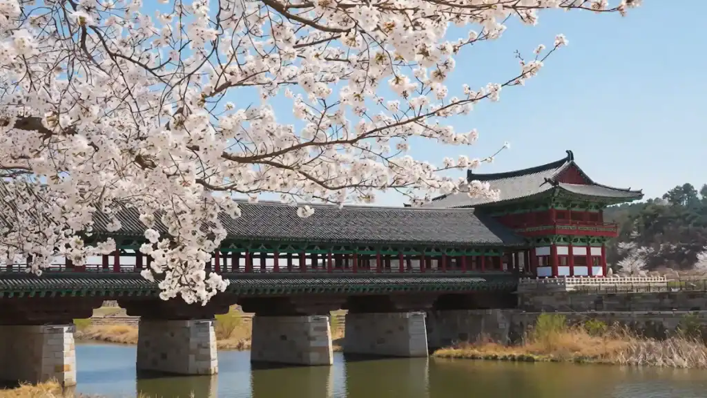 Woljeonggyo Bridge in spring with cherry blossoms traditional Korean pavilion and stone pillars over river
