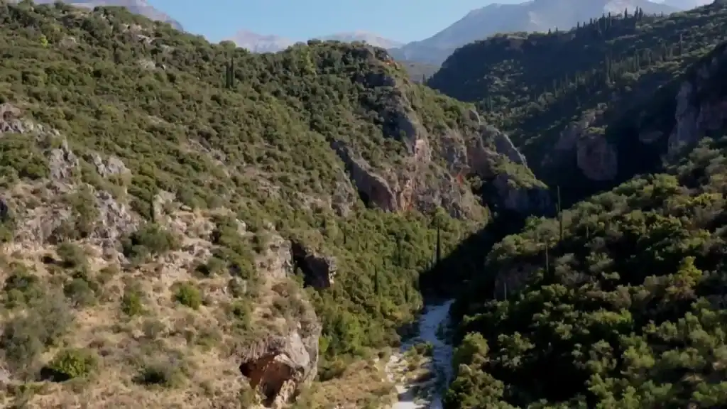 Deep gorge with dry riverbed running between densely vegetated limestone walls, cypress trees rising from the shadowed floor and Taygetos peaks visible beyond