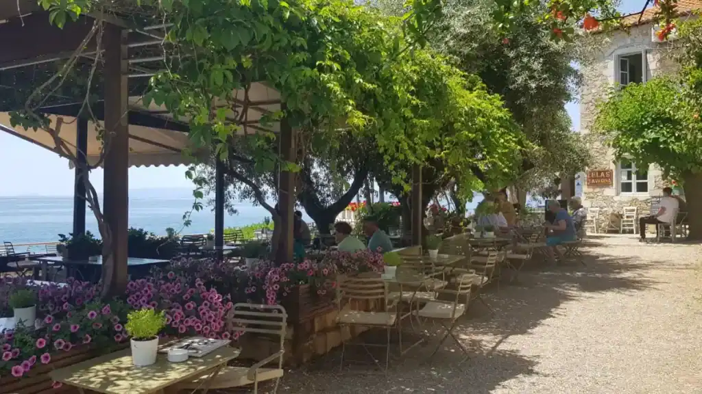 Outdoor terrace of Lela's Taverna in Kardamyli, shaded by dense vines and trees, with pink flowers lining the seating area and the sea visible beyond