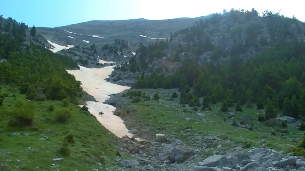 Residual snow streaking down a high mountain gully between conifers and grey limestone, green meadow and scattered boulders in the foreground in the Mani Peninsula