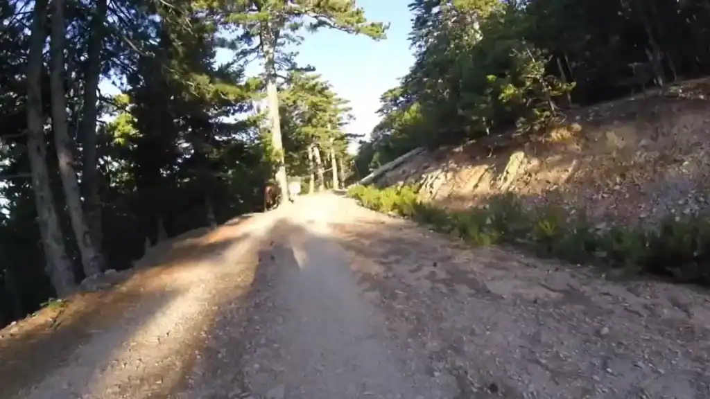Viros Gorge Kardamyli sunlit dirt path winding through forested hillside.