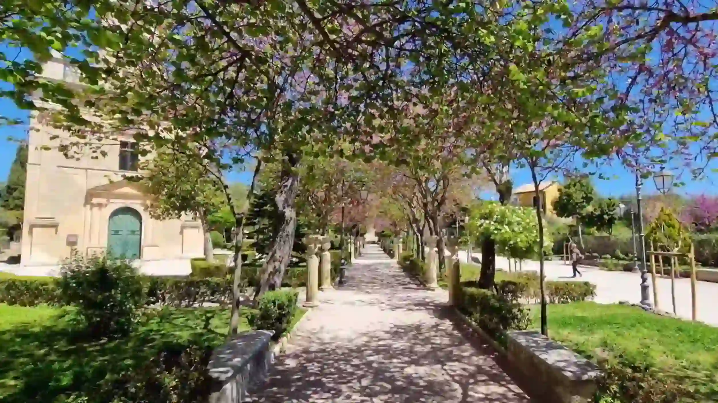 Tree-lined central path through Giardino Ibleo, branches in early blossom forming a canopy over stone column posts, a small church visible to the left