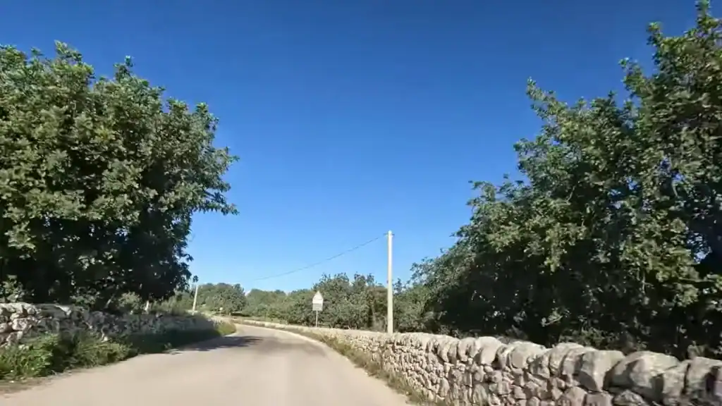 Narrow rural road bending left between dry-stone walls and dense fruit trees under a clear blue sky.