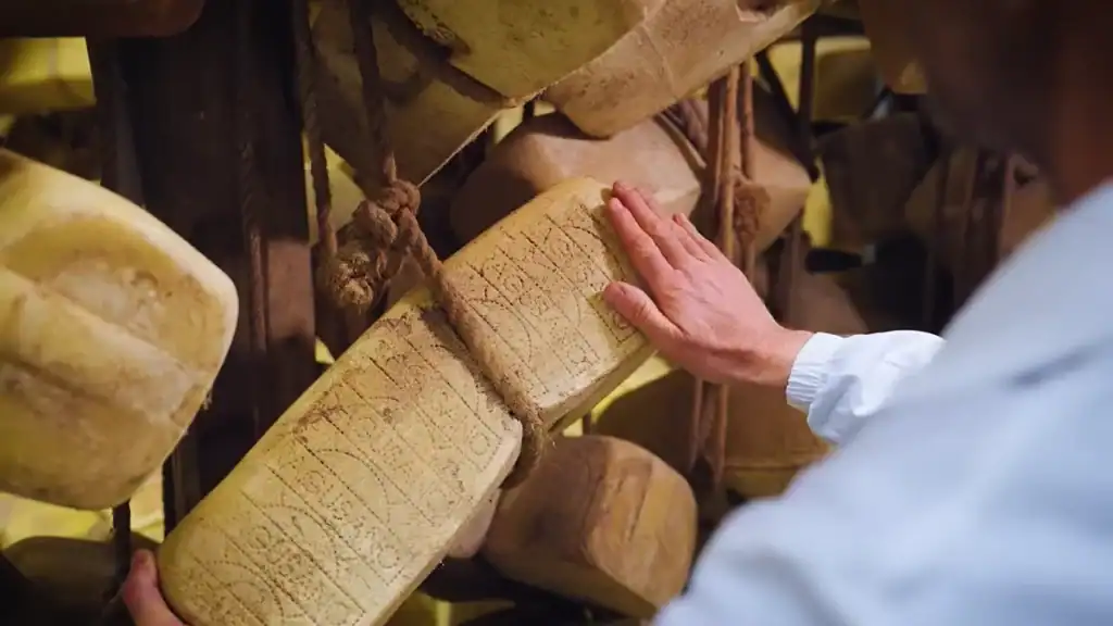 A cheesemaker's hand pressing against an aged Ragusano block hanging by rope in a maturing cellar, its rind marked with embossed lettering and darkened from ageing.
