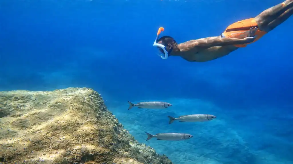 A snorkeler in orange shorts dives toward a rocky reef where three silver fish hold their position in clear blue water, snorkeling at Agiofili Beach among the submerged boulders near the cliff base