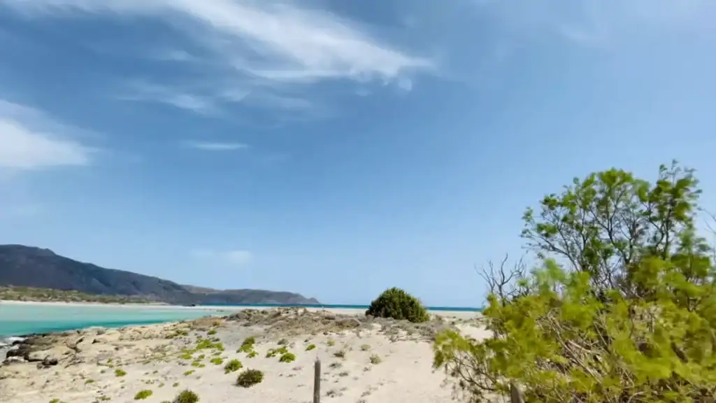 Sandy dunes with low scrub and a tamarisk tree in the foreground, pale turquoise lagoon water behind and a dark mountain ridge running along the left edge.