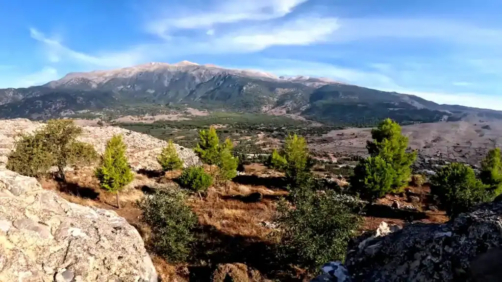 Scattered pines on a rocky foreground ledge overlooking a cultivated valley, the White Mountains of Chania filling the horizon beneath a streaked sky
