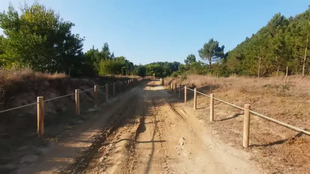 Sandy dirt track lined with timber posts and rope fencing through pine woodland