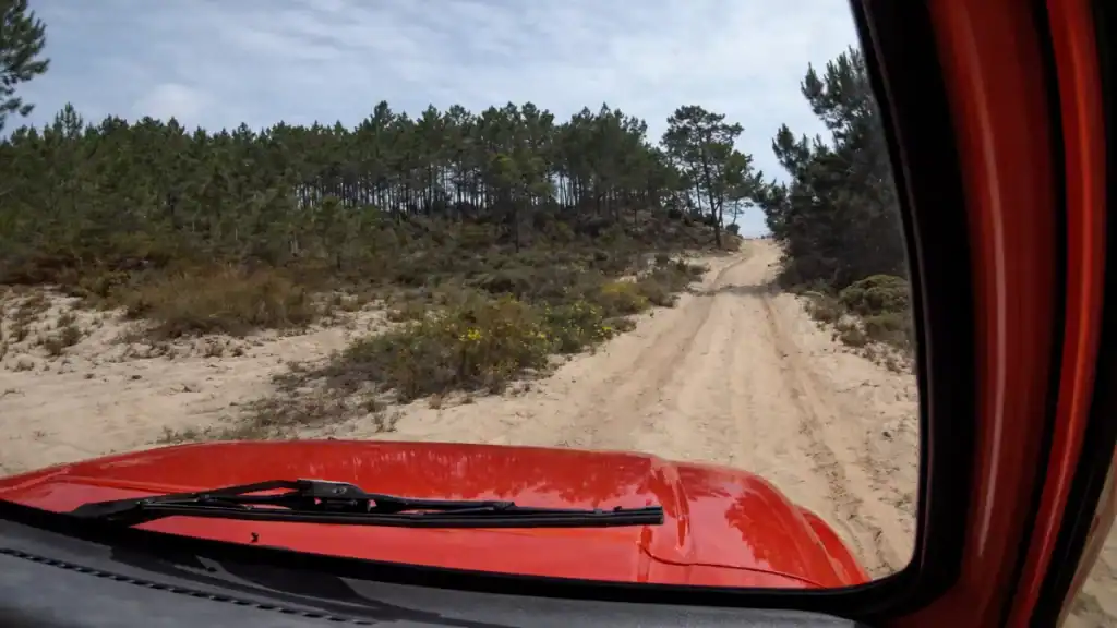 Driver's view through a red 4x4 windscreen on a sandy pine forest track