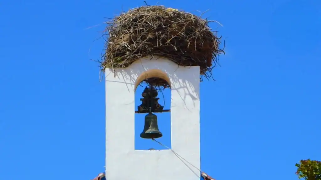 Stork nest perched on a whitewashed church bell tower in Comporta village against a blue sky