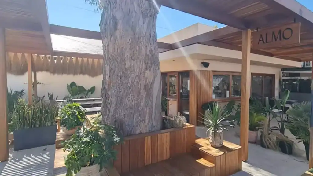 Plant-filled terrace at Almo restaurant built around a large tree, making Comporta worth visiting for food lovers